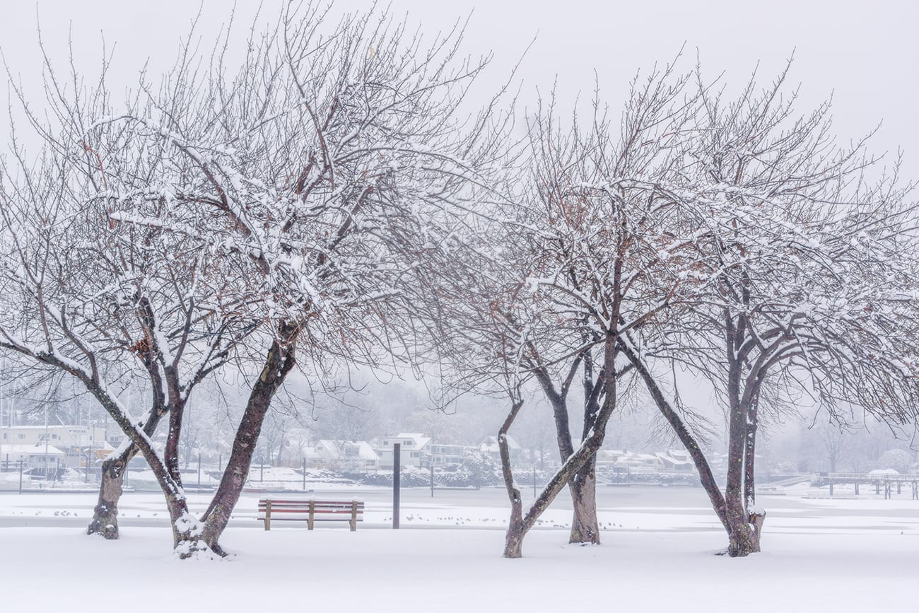 Winter at The Knolls makes living in Westchester county hassle-free when the snow starts to fall.