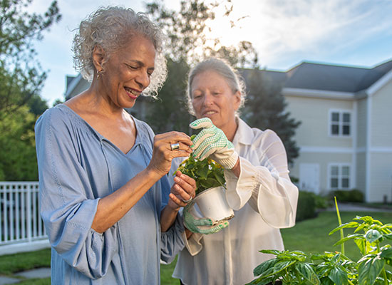 Senior women gardening.